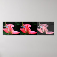 Pink Rosebud Collage Photo Art 