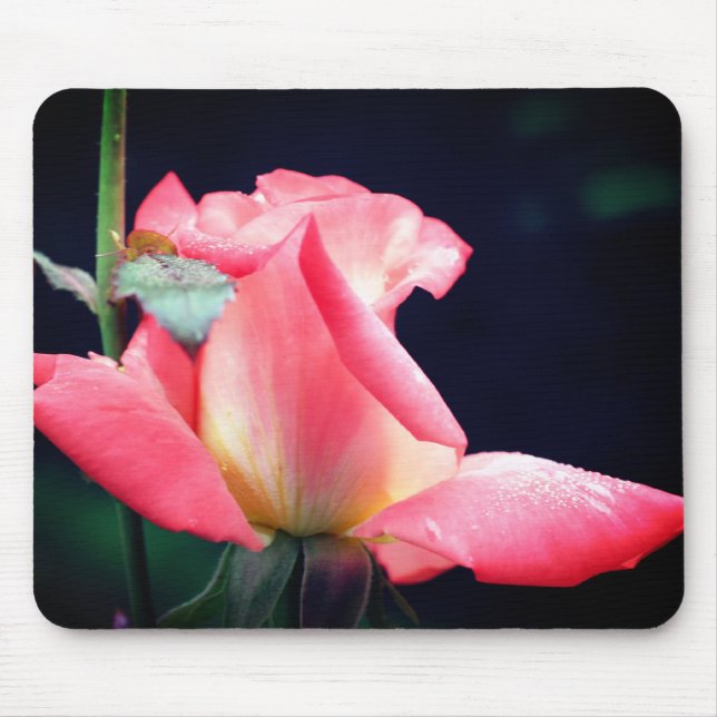Pink Rosebud Delight Flower Mouse Pad (Front)