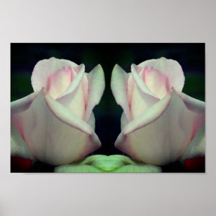 Pink Rosebud Flower Mirror Abstract Poster