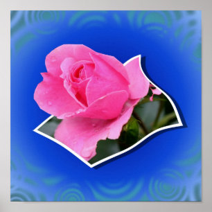 Pink Rosebud Flower Out Of Bounds Art Poster