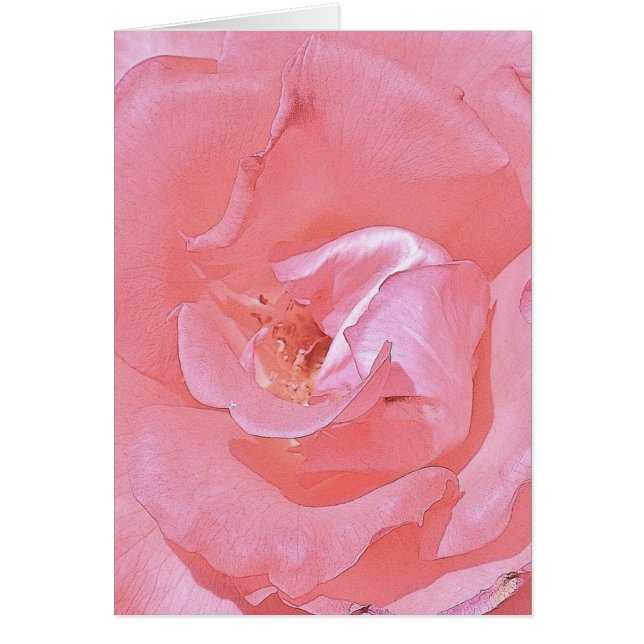 Pink Roses (Front)