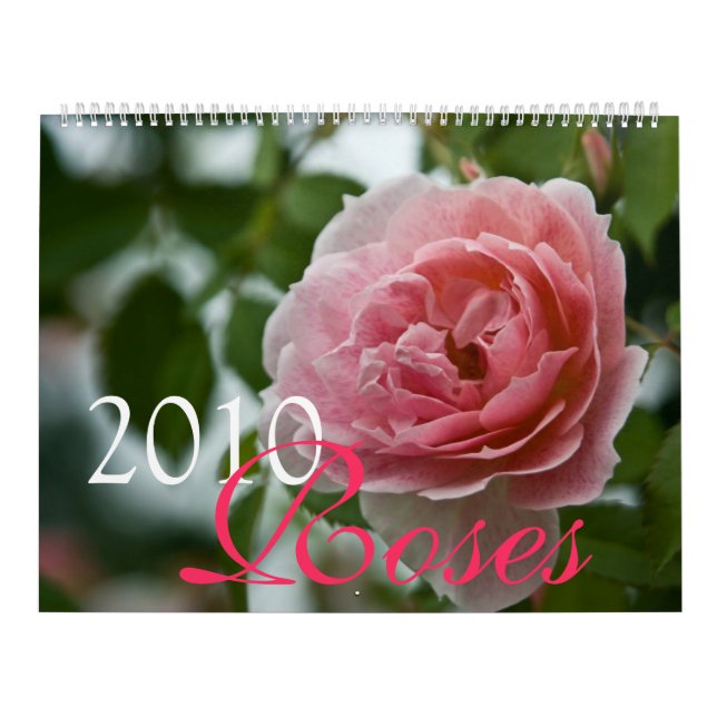 Pink Roses 2010 Calendar (Cover)
