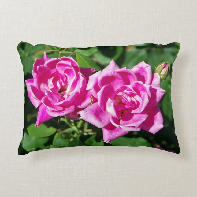 Pink roses accent pillow (Front)