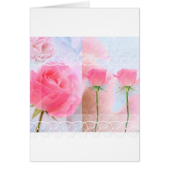 Pink roses and blue card