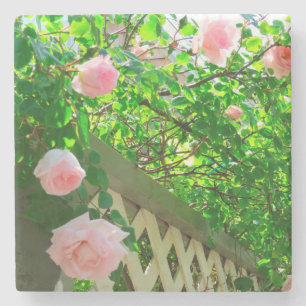 Pink Roses and Lattice - Martha's Vineyard Stone Coaster