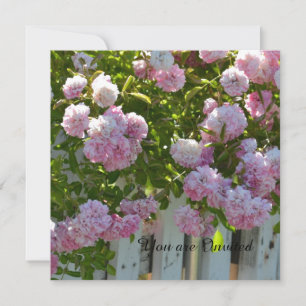 Pink Roses Birthday Invitation