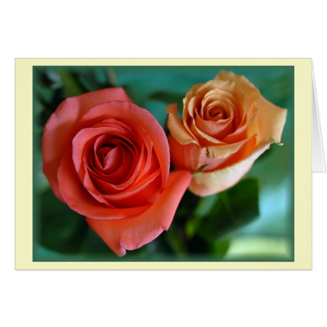 "Pink Roses" (Blank) (Front Horizontal)