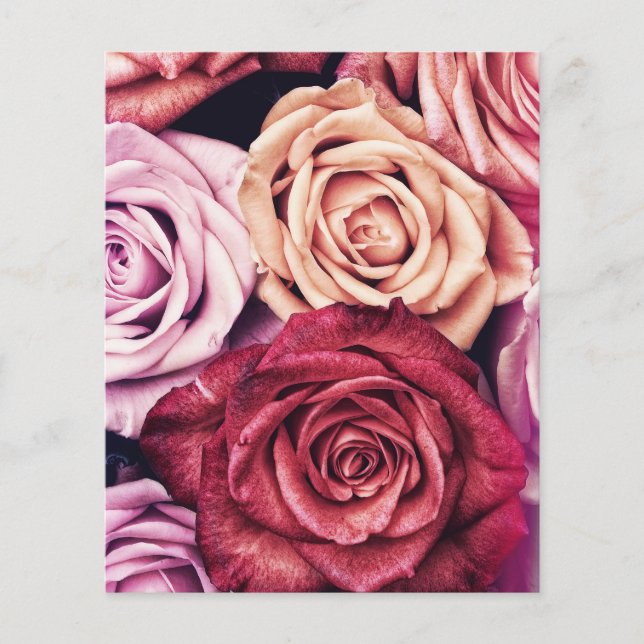 Pink Roses Bouquet Photo (Front)