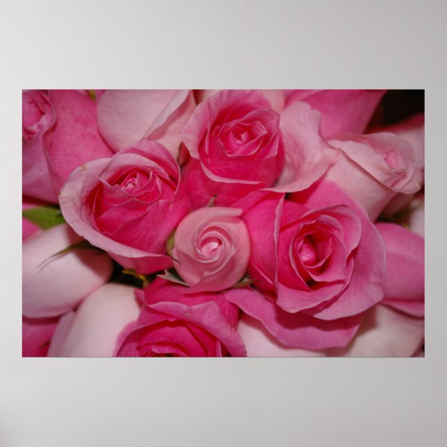 Pink Roses - Canvas Print (Front)