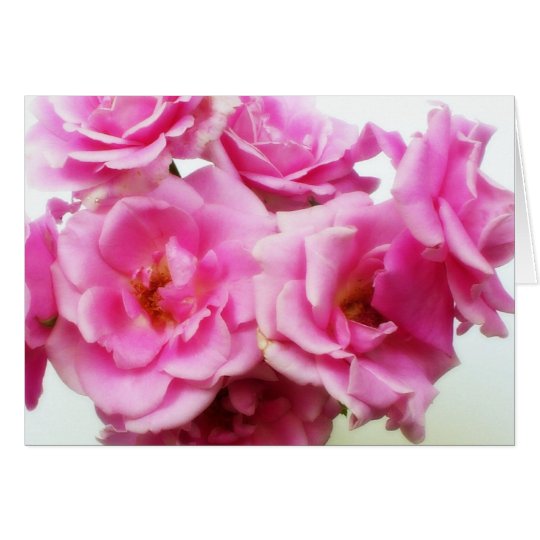 PInk Roses Card