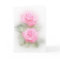 Pink Roses Card