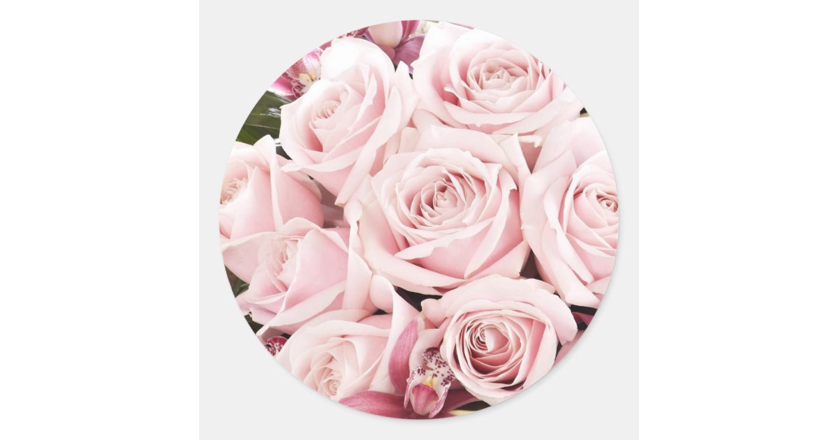 Round Sticker Rose Pink Roses Classic Round Sticker | Zazzle