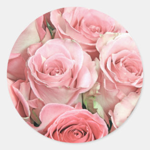 Pink Roses Classic Round Sticker