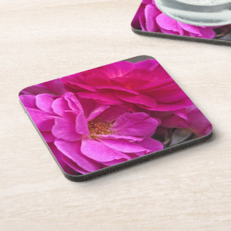 Pink Roses Coaster