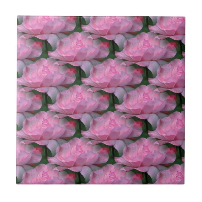 Pink Roses Floral Art Nature Tile (Front)