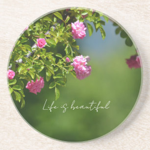 Pink Roses Floral (photography by me) Coaster