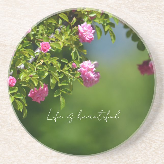 Pink Roses Floral (photography by me) Coaster (Front)