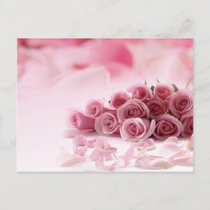 Pink Roses - Floral Postcard