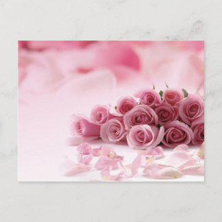 Pink Roses - Floral Postcard
