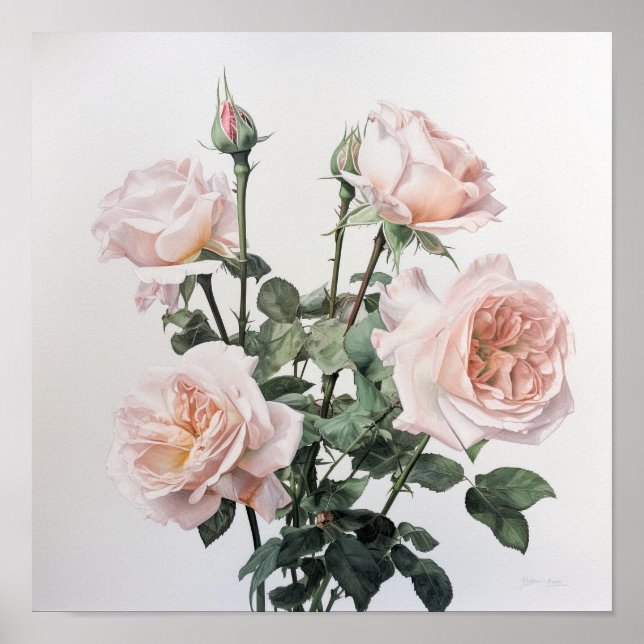 Pink Roses Flower Art Print Poster (Front)