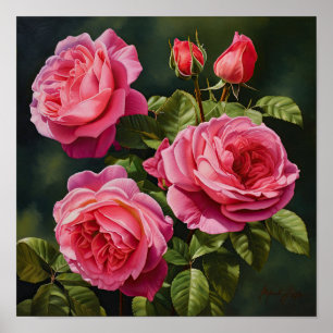 Pink Roses Flower Art Print Poster