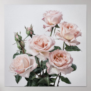 Pink Roses Flower Art Print Poster