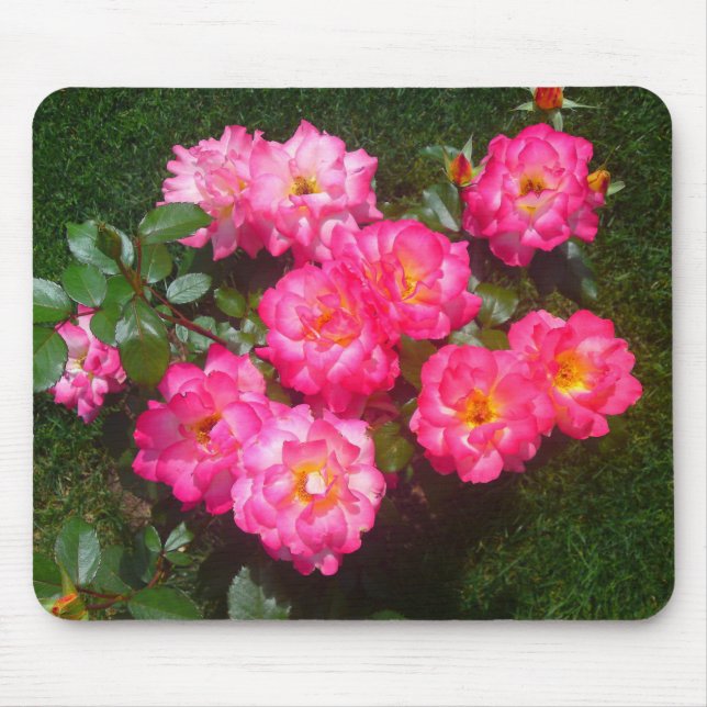 Pink Roses Flower Patch Mousepad (Front)
