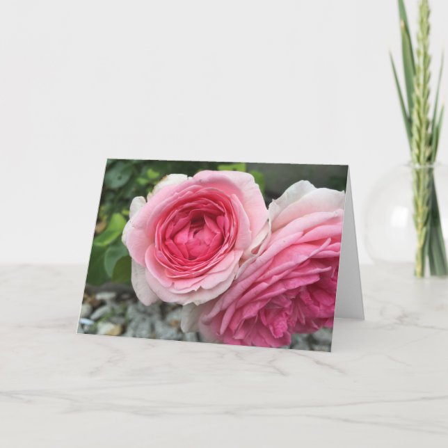 Pink ROSES Greeting Card (Front)