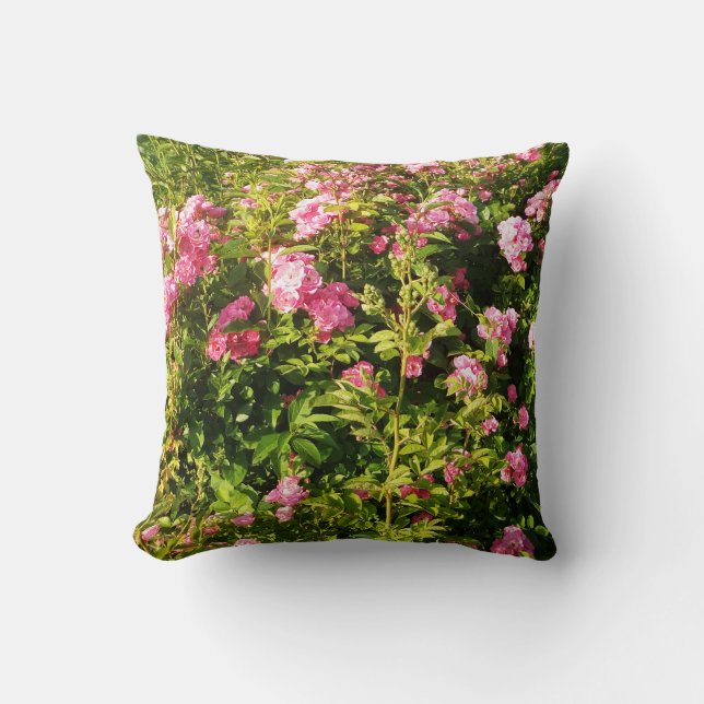 Pink Roses in bloom  Cushion (Front)