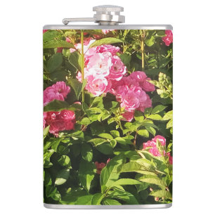 Pink Roses in bloom Hip Flask