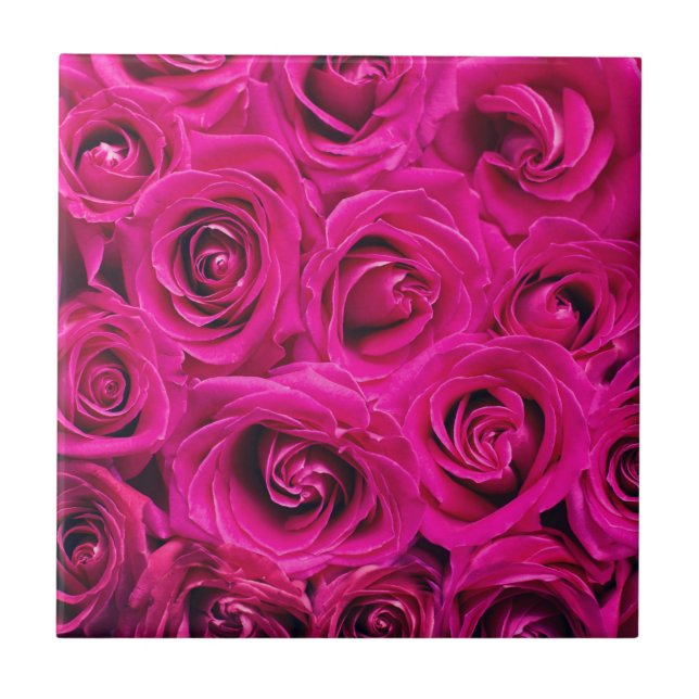 Pink Roses (Love and Romance) Ceramic Tile (Front)