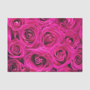 Pink Roses (Love and Romance) Tissue Paper