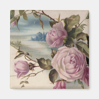 pink roses magnet