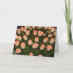 Pink roses note card