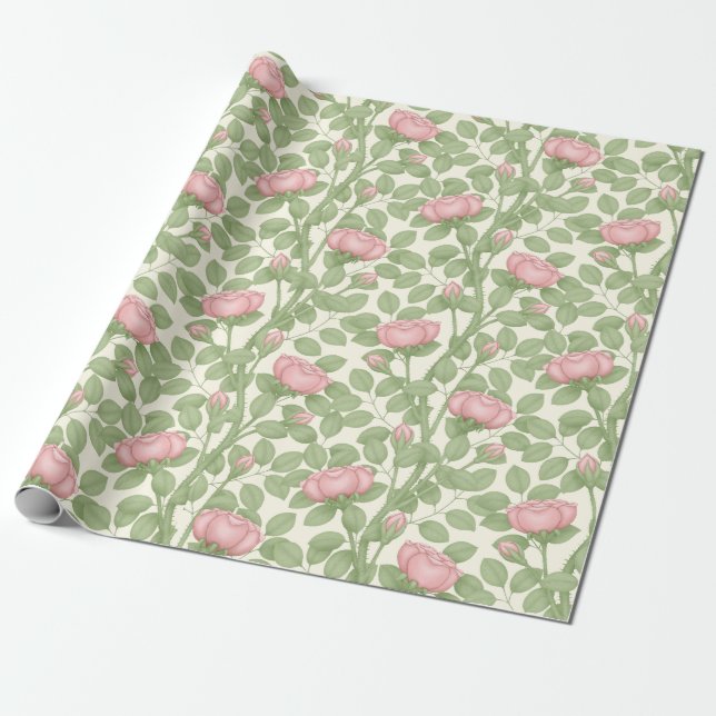 Pink Roses on Cream (large scale) Wrapping Paper (Unrolled)