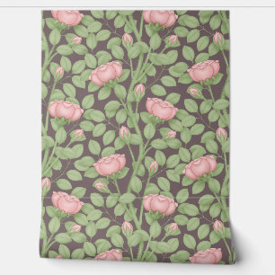 Pink Roses on dark plum Wallpaper