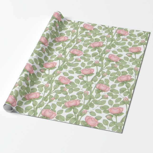 Pink Roses on White (large scale) Wrapping Paper (Unrolled)