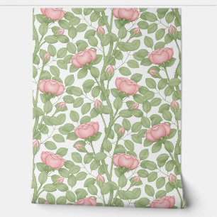 Pink Roses on white Wallpaper