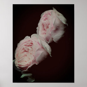 Pink Roses Pair Poster