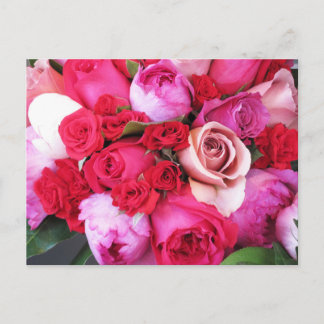Pink Roses Paris Postcard