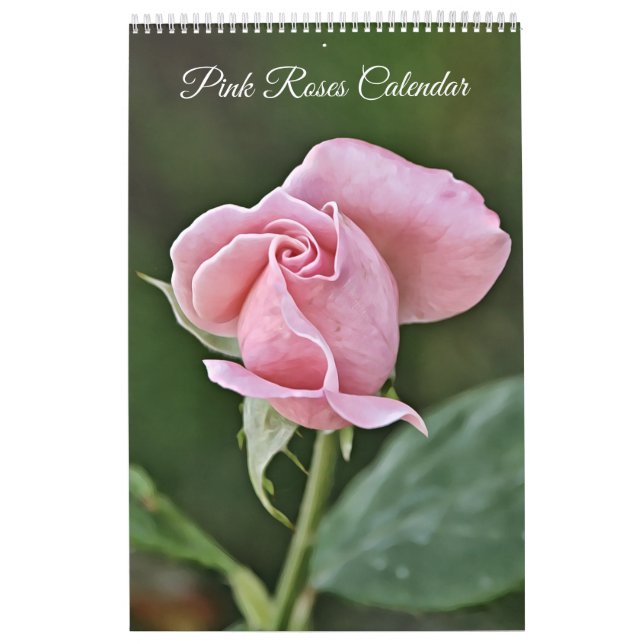Pink Roses Photographic Art Flower Calendar (Cover)