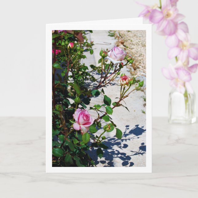 Pink Roses Portrait Card (Orchid)
