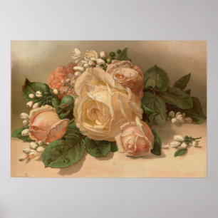 Pink Roses Poster