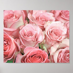 Pink Roses Poster