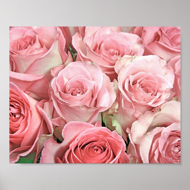 Pink Roses Poster (Front)