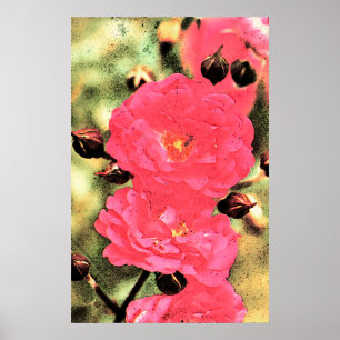 Pink Roses Poster - Digital Photo Floral Art