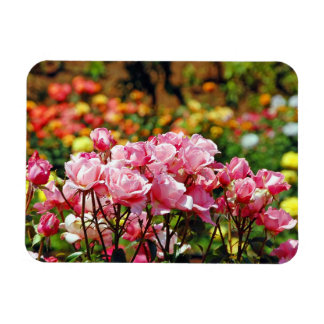 Pink roses print magnet
