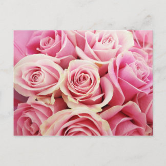 Pink Roses Rose Bouquet Rosey Pink Flowers Bush Postcard