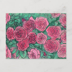 Pink Roses, Rose Garden, Life Sketch Ink Pastels Postcard