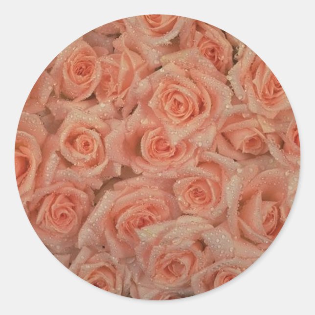 Pink Roses Sticker (Front)